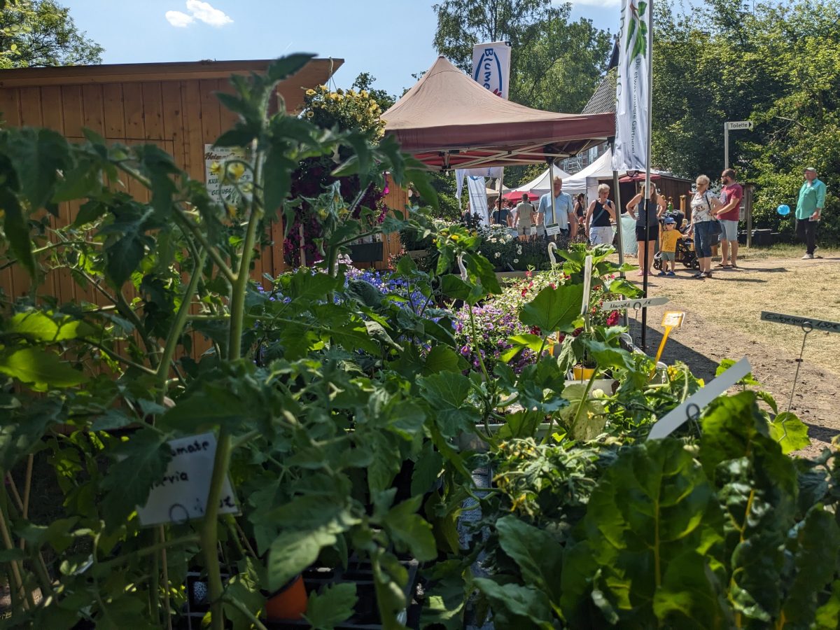 Pflanzen kaufen in Rotenburg - auch das bietet das HeimatGenuss ROW Festival
